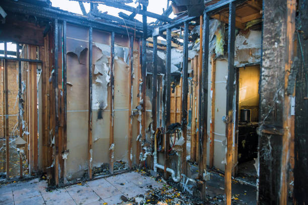 Professional Fire Damage Removal technician working in Chandler, TX